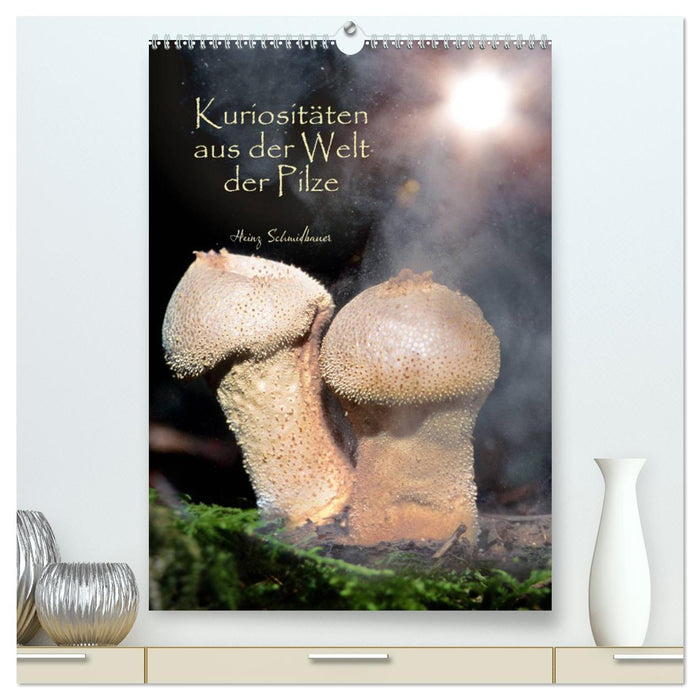 Kuriositäten aus der Welt der Pilze (CALVENDO Premium Wandkalender 2024)