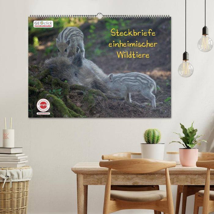 Calendrier d'apprentissage GEOclick : profils d'animaux sauvages locaux (calendrier mural CALVENDO 2024) 