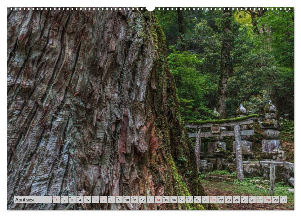 Okunoin, cemetery and pilgrimage site on Koyasan (CALVENDO Premium Wall Calendar 2024) 