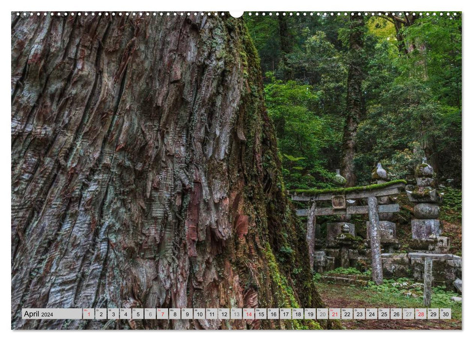 Okunoin, cimetière et lieu de pèlerinage sur Koyasan (Calendrier mural CALVENDO Premium 2024) 