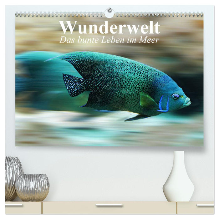 Wonder world. The colorful life in the sea (CALVENDO Premium Wall Calendar 2024) 