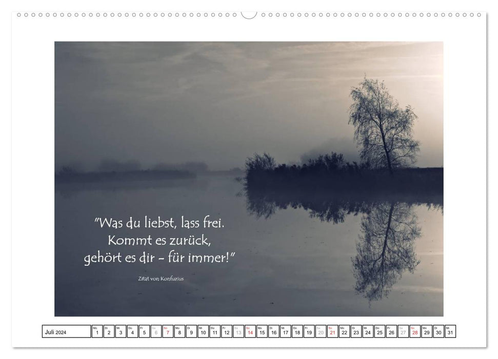 Quotes - Collection (CALVENDO Premium Wall Calendar 2024) 