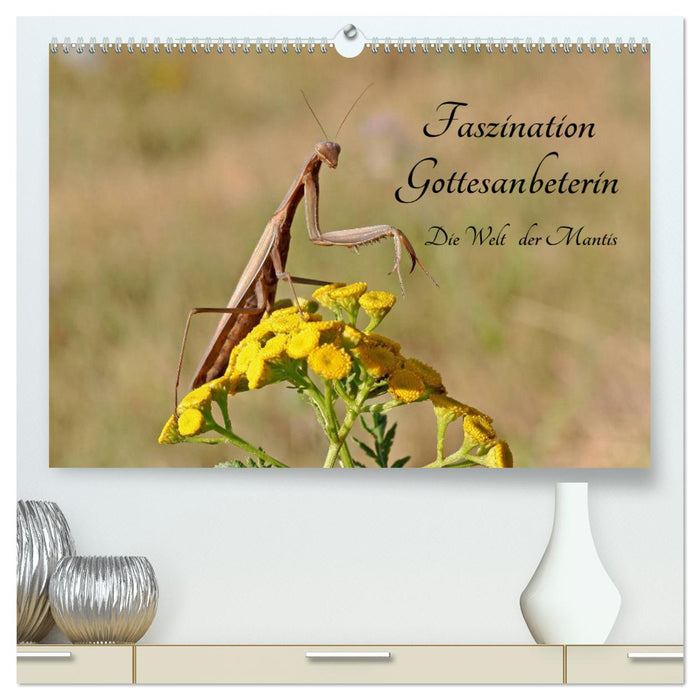 Fascination with Praying Mantises - The World of Mantises (CALVENDO Premium Wall Calendar 2024) 