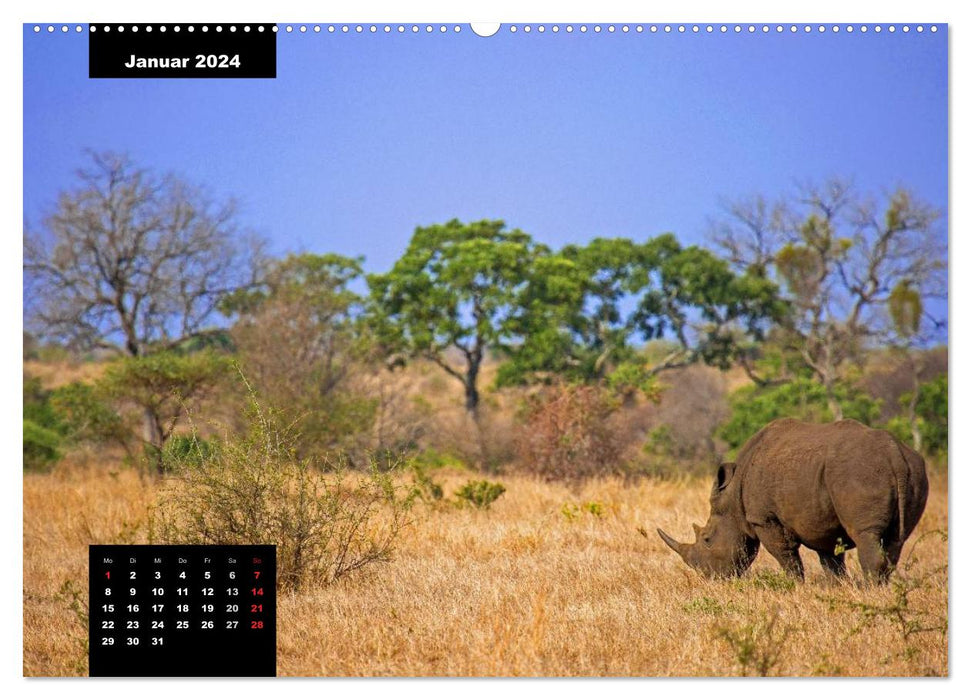 Blickpunkte des Südlichen Afrika (CALVENDO Premium Wandkalender 2024)