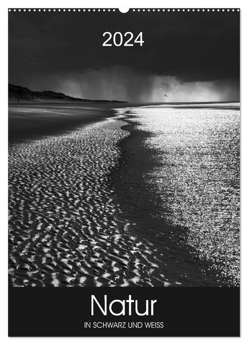 Nature in black and white (CALVENDO wall calendar 2024) 