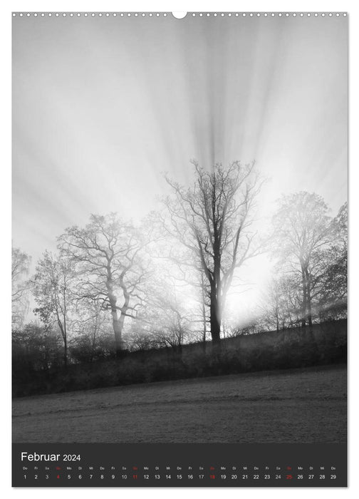 La nature en noir et blanc (Calendrier mural CALVENDO 2024) 