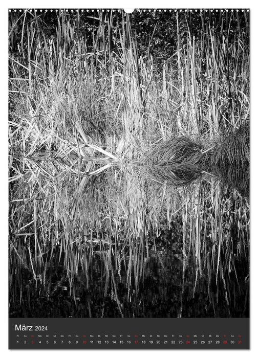 La nature en noir et blanc (Calendrier mural CALVENDO 2024) 