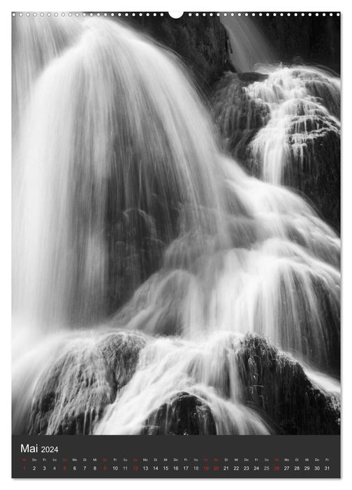 La nature en noir et blanc (Calendrier mural CALVENDO 2024) 