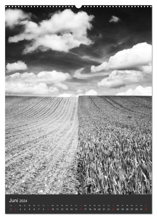 La nature en noir et blanc (Calendrier mural CALVENDO 2024) 