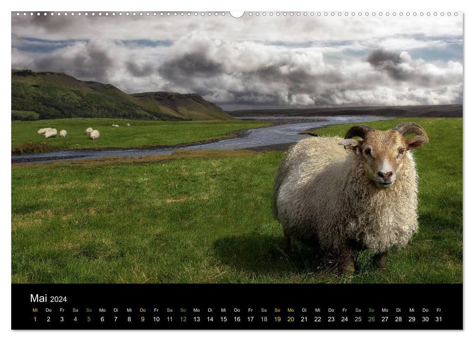 Island - wundervolle Weite (CALVENDO Premium Wandkalender 2024)