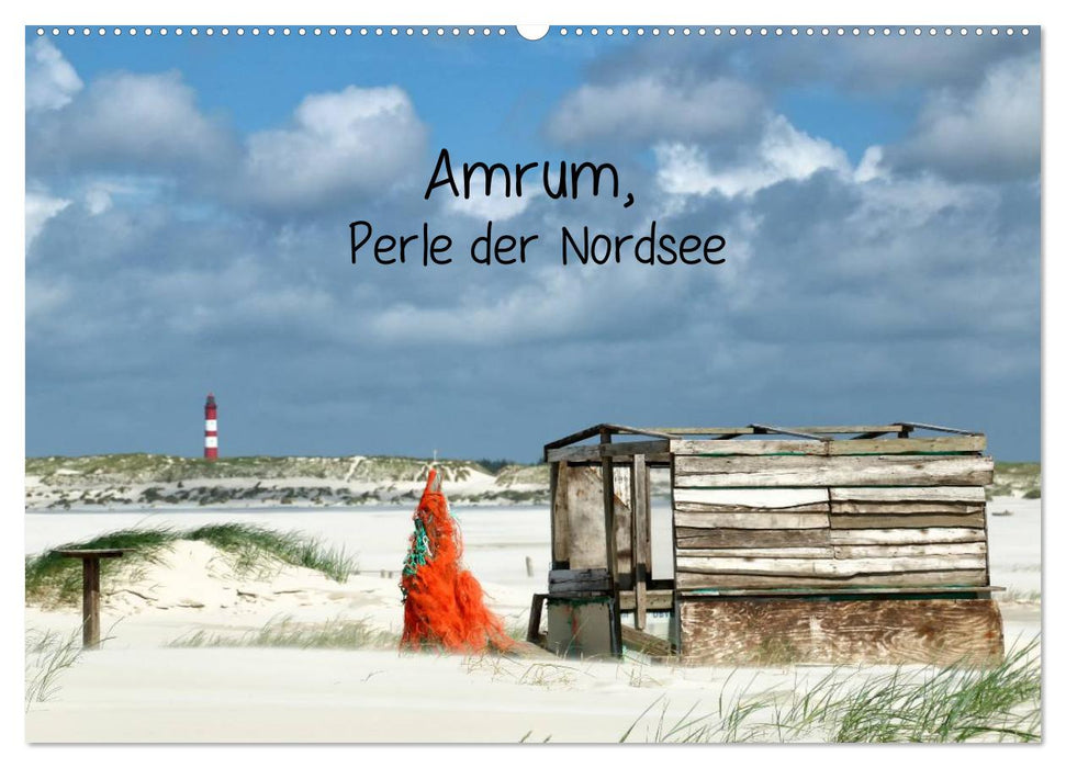 Amrum, Perle der Nordsee (CALVENDO Wandkalender 2024)