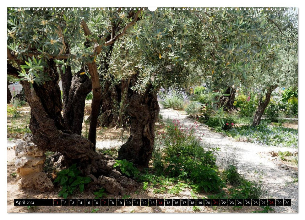 Jerusalem - Sacred Center of Three Religions (CALVENDO Premium Wall Calendar 2024) 