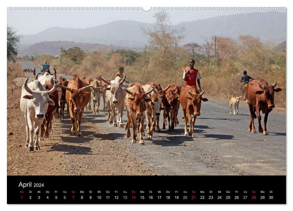 Landleben in Äthiopien (CALVENDO Premium Wandkalender 2024)