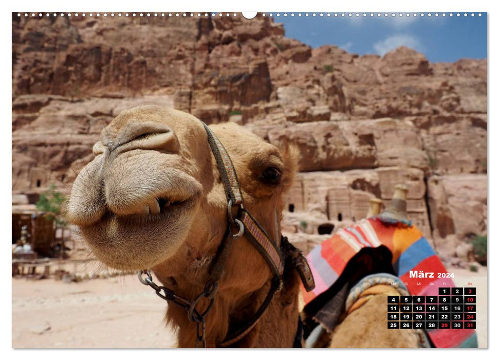 Petra - rock city in the desert (CALVENDO Premium Wall Calendar 2024) 