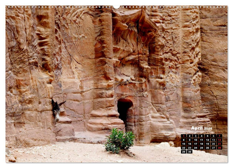 Petra - rock city in the desert (CALVENDO Premium Wall Calendar 2024) 