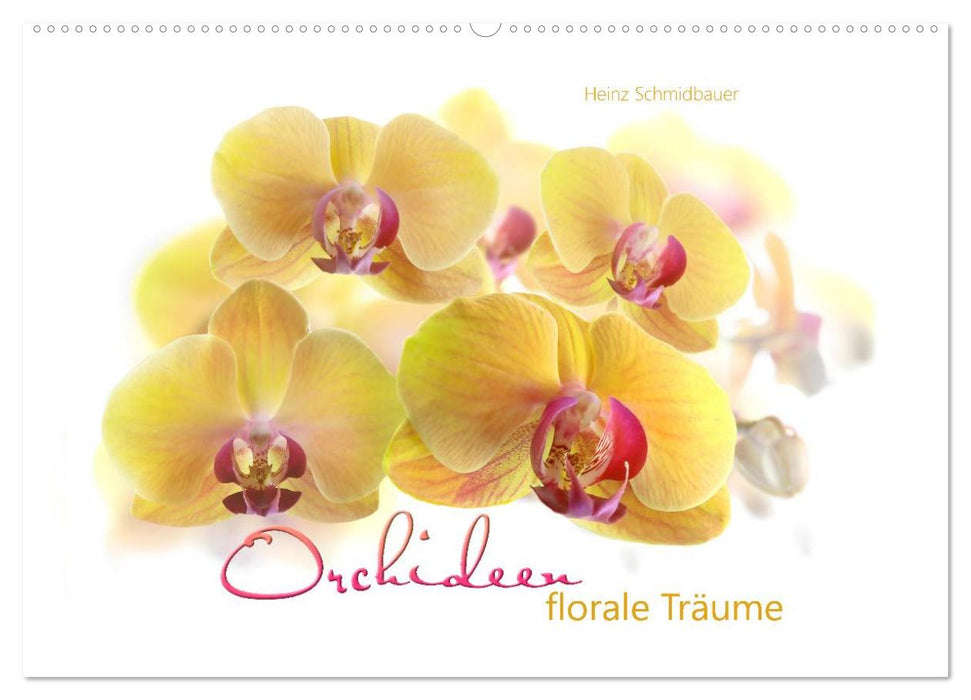 Orchideen florale Träume (CALVENDO Wandkalender 2024)