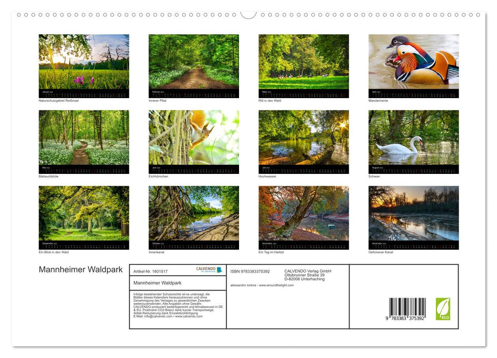 Mannheim Forest Park (CALVENDO Premium Wall Calendar 2024) 