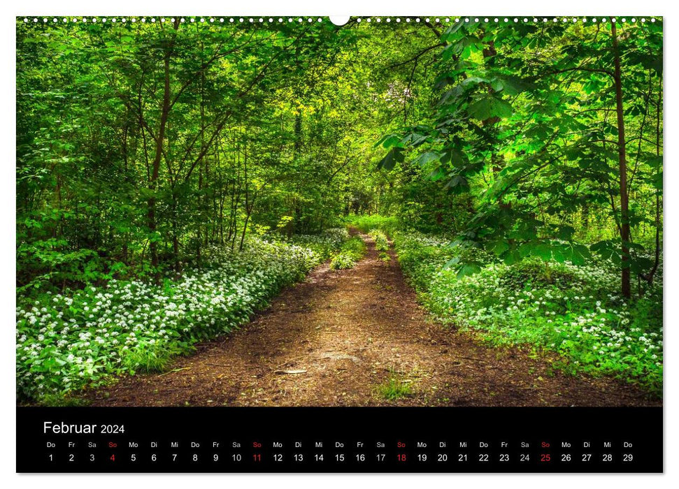 Mannheim Forest Park (CALVENDO Premium Wall Calendar 2024) 