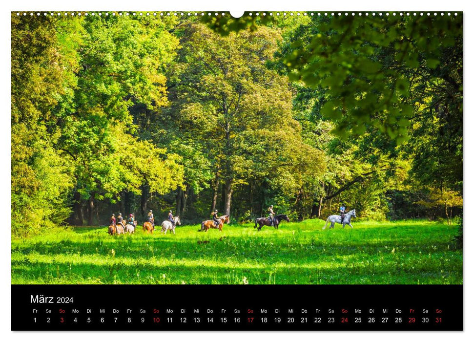 Mannheimer Waldpark (CALVENDO Premium Wandkalender 2024)