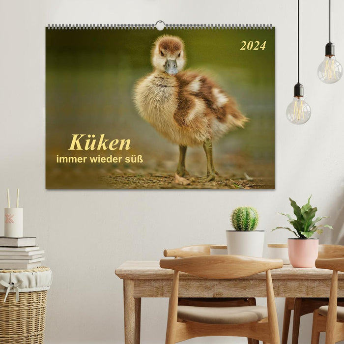 Poussins - toujours mignons (Calendrier mural CALVENDO 2024) 