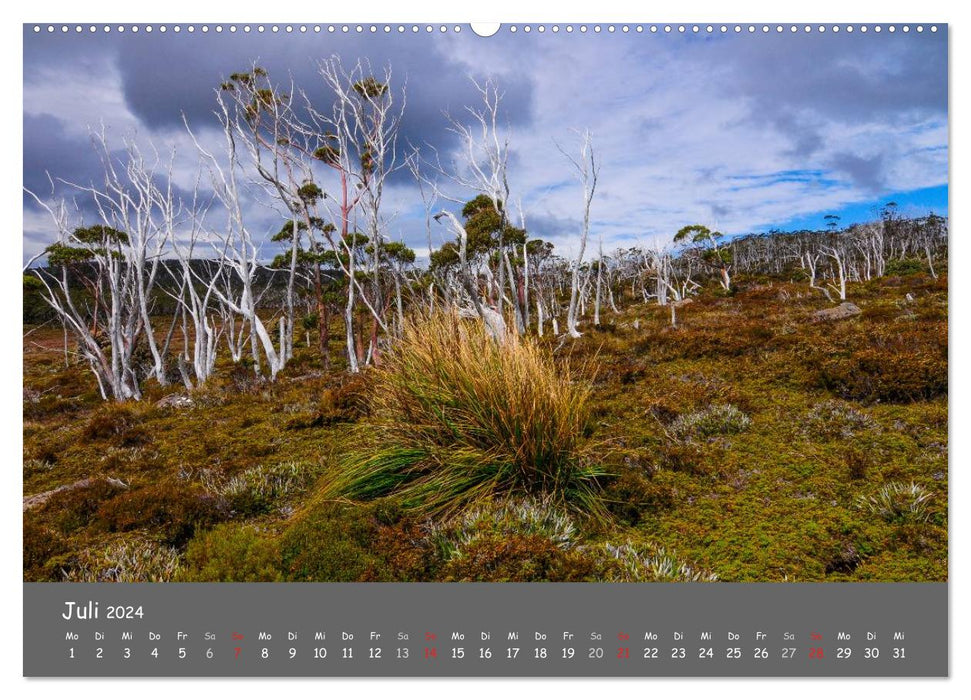 Naturlandschaften Tasmaniens (CALVENDO Premium Wandkalender 2024)