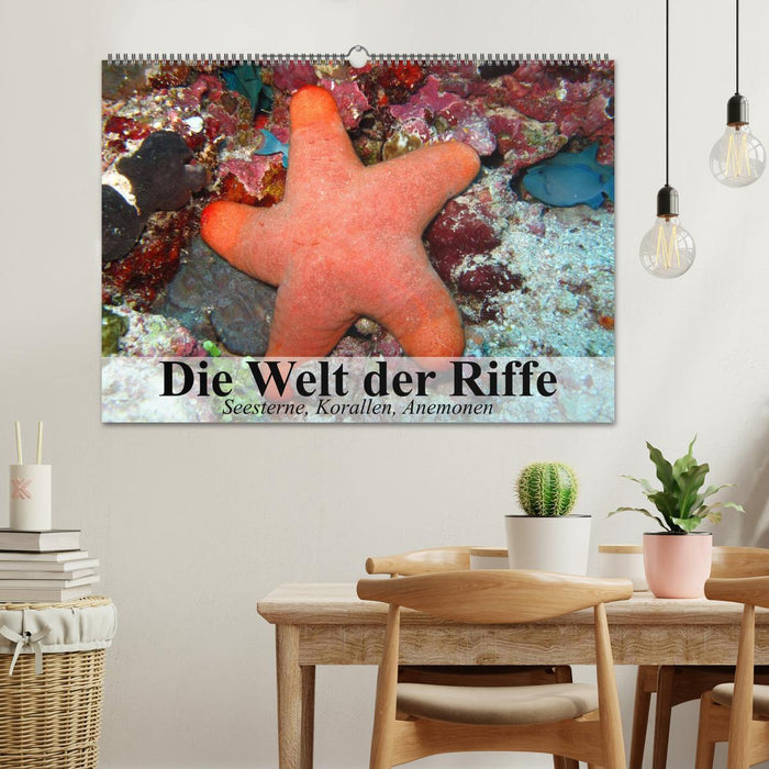 Die Welt der Riffe. Seesterne, Korallen, Anemonen (CALVENDO Wandkalender 2024)