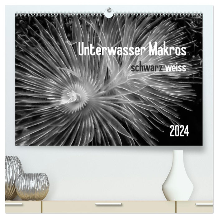 Macros sous-marines - noir blanc 2024 (Calendrier mural CALVENDO Premium 2024) 