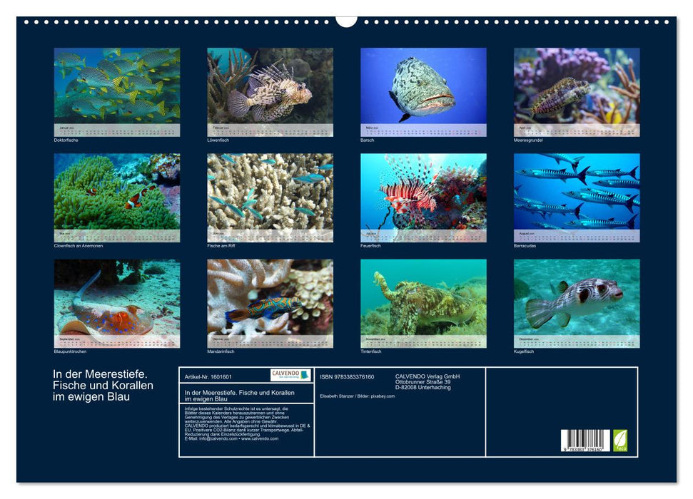 In der Meerestiefe. Fische und Korallen im ewigen Blau (CALVENDO Wandkalender 2024)