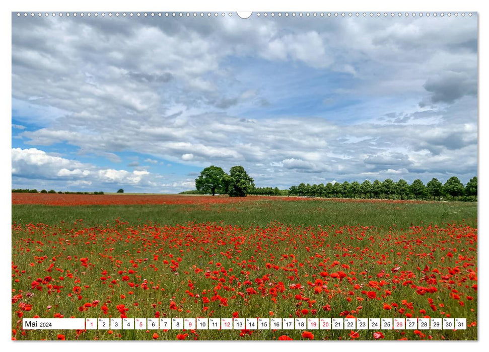 LAATZEN - Ortsteil der Region Hannover (CALVENDO Wandkalender 2024)