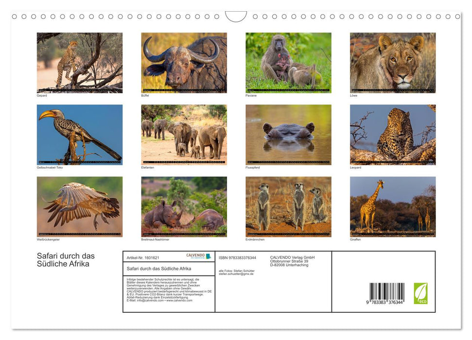 Safari through Southern Africa (CALVENDO wall calendar 2024) 