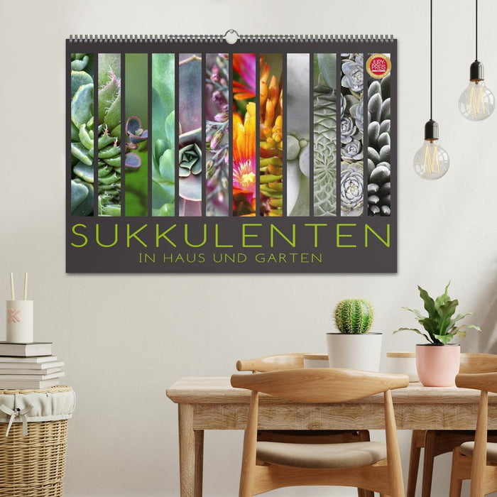 Plantes succulentes dans la maison et le jardin (calendrier mural CALVENDO 2024) 