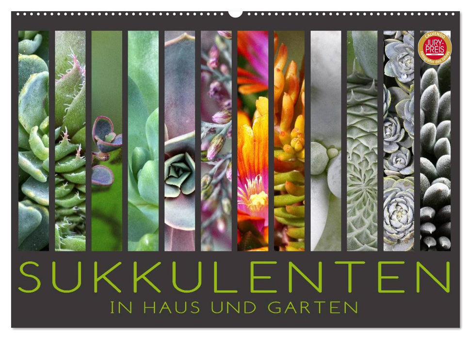 Sukkulenten in Haus und Garten (CALVENDO Wandkalender 2024)