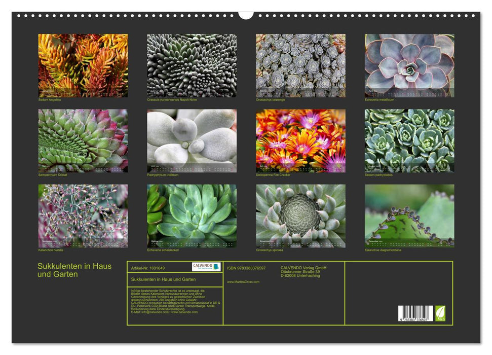 Plantes succulentes dans la maison et le jardin (calendrier mural CALVENDO 2024) 