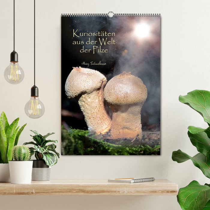 Curiosités du monde des champignons (Calendrier mural CALVENDO 2024) 