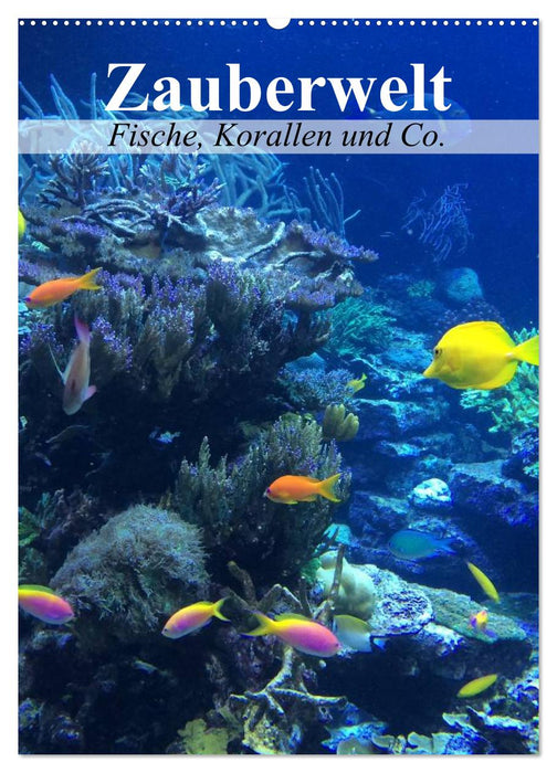 Zauberwelt. Fische, Korallen und Co. (CALVENDO Wandkalender 2024)