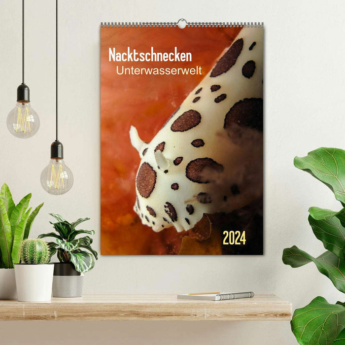 Nacktschnecken - Unterwasserwelt 2024 (CALVENDO Wandkalender 2024)