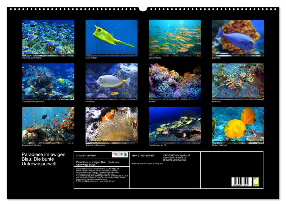 Paradiese im ewigen Blau. Die bunte Unterwasserwelt (CALVENDO Wandkalender 2024)