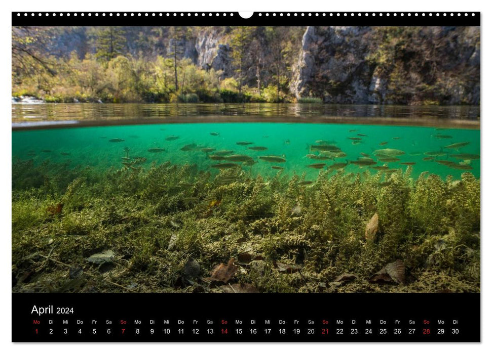 Blaue Meere, grüne Seen - Unterwasserbilder (CALVENDO Wandkalender 2024)