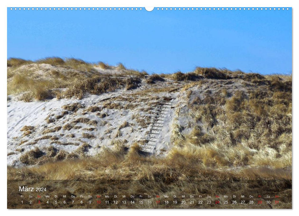 Zauberhaftes Jütland (CALVENDO Wandkalender 2024)