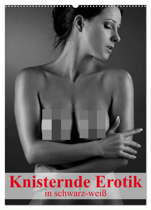Knisternde Erotik in schwarz-weiß (CALVENDO Wandkalender 2024)