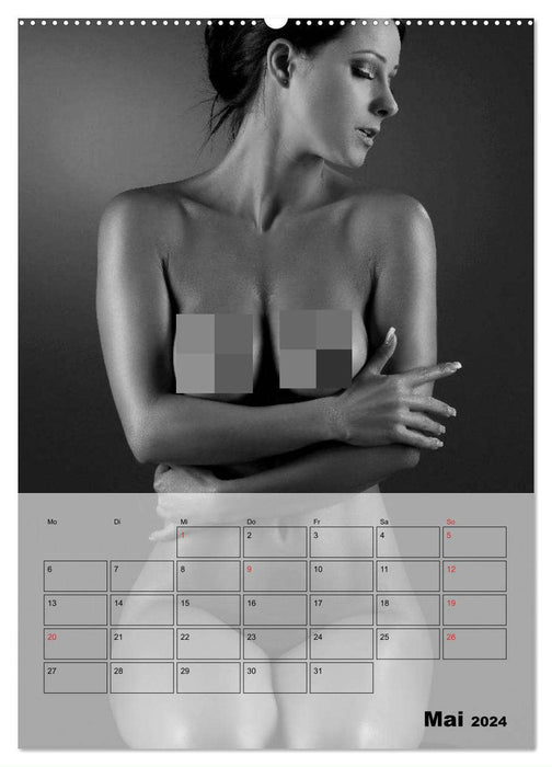 Knisternde Erotik in schwarz-weiß (CALVENDO Wandkalender 2024)