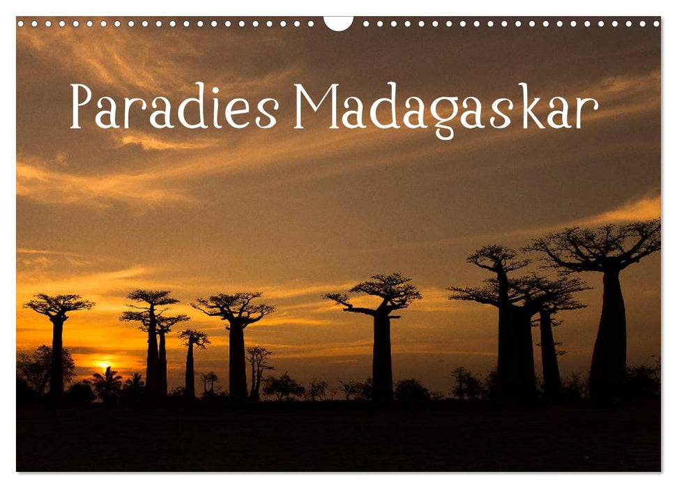 Paradies Madagaskar (CALVENDO Wandkalender 2024)