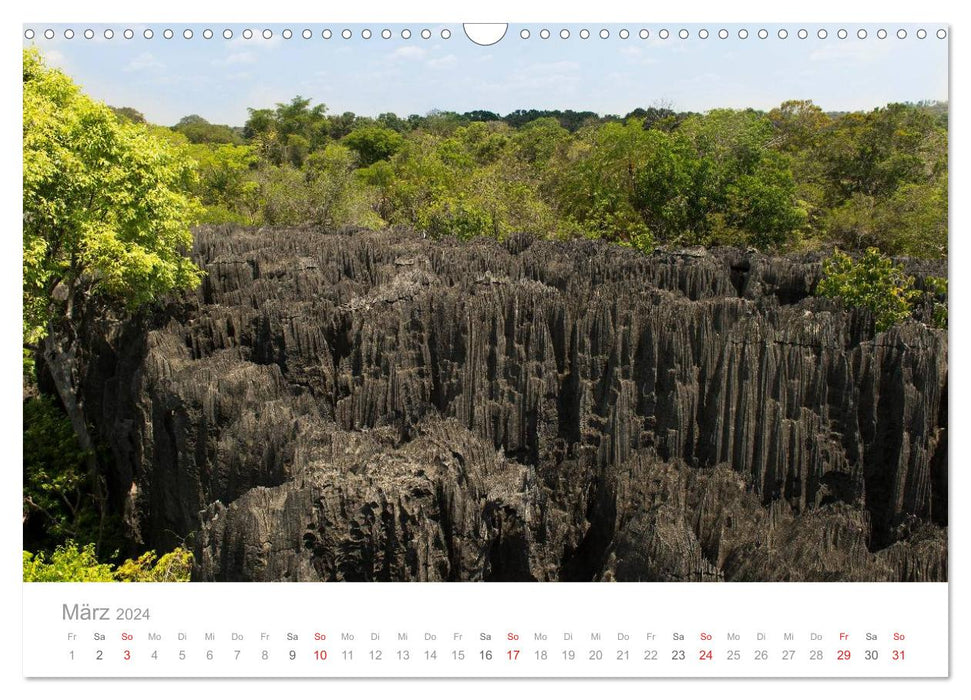 Paradis Madagascar (Calendrier mural CALVENDO 2024) 