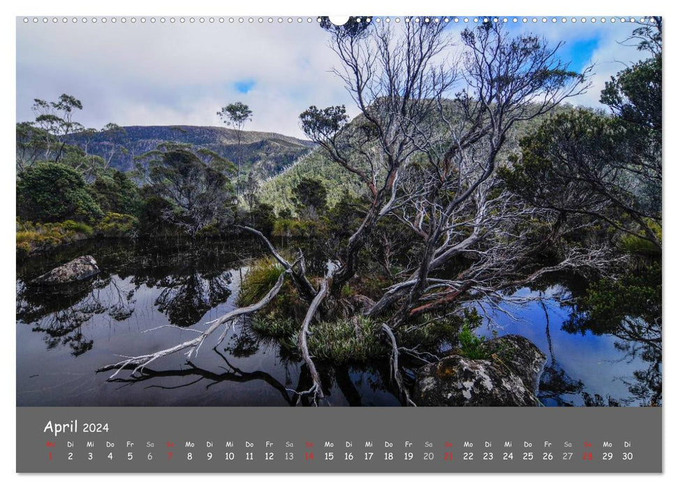 Naturlandschaften Tasmaniens (CALVENDO Wandkalender 2024)