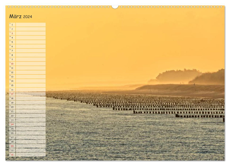 Lichtspiele auf der Halbinsel Darß (CALVENDO Premium Wandkalender 2024)
