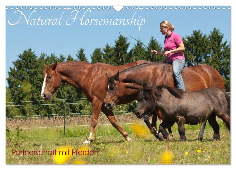 Natural Horsemanship - Partenariat avec les chevaux (Calendrier mural CALVENDO 2024) 