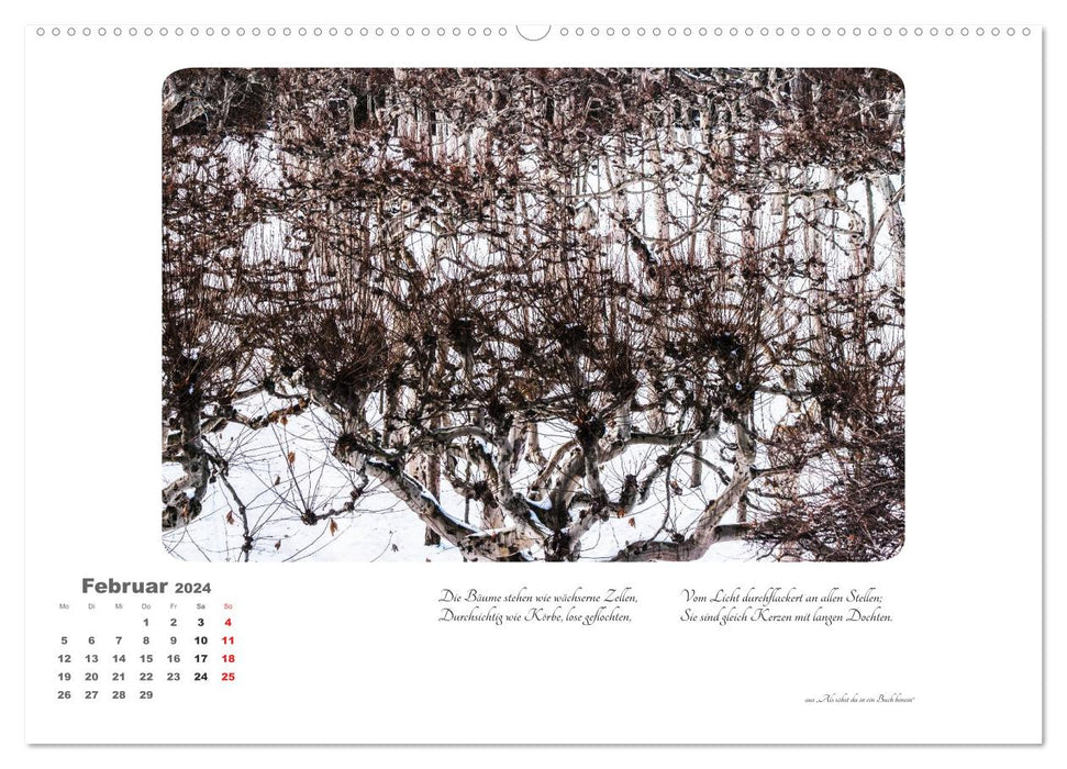 Max Dauthendey - Mit dem Wald durchs Jahr (CALVENDO Premium Wandkalender 2024)