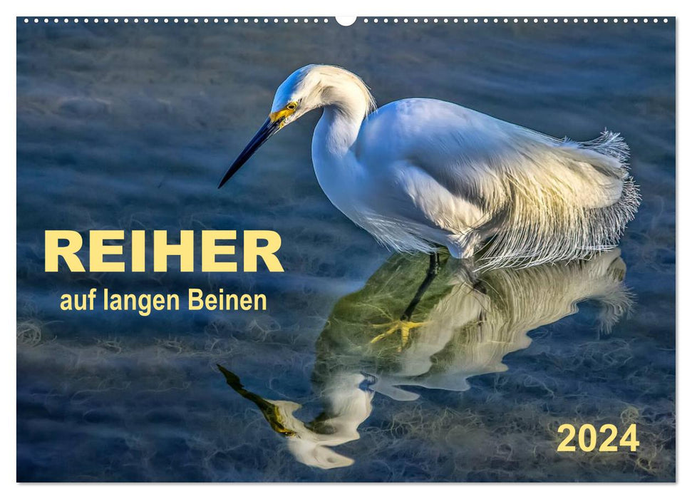 Reiher - auf langen Beinen (CALVENDO Wandkalender 2024)