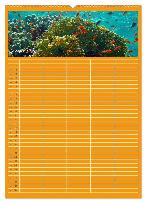 Blubb ... Le planificateur familial sous-marin (Calvendo Premium Wall Calendar 2024) 