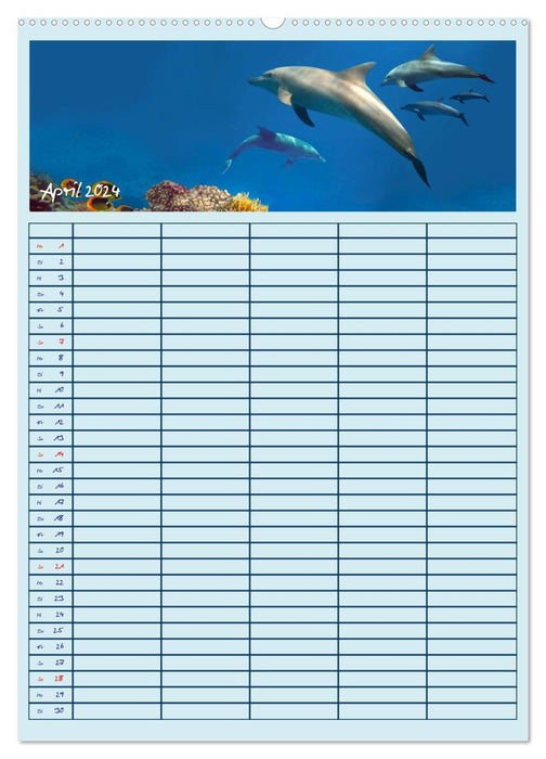 Blubb ... Le planificateur familial sous-marin (Calvendo Premium Wall Calendar 2024) 